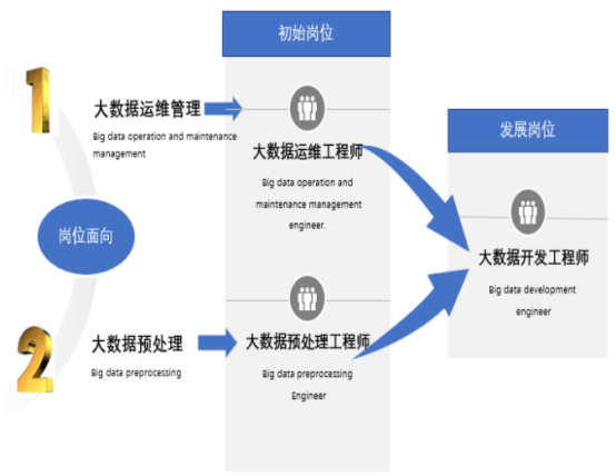 如何精确定义信息技术中的大数据及其在预定义大屏应用中的角色？